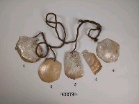 藏品(貝貨幣)的圖片